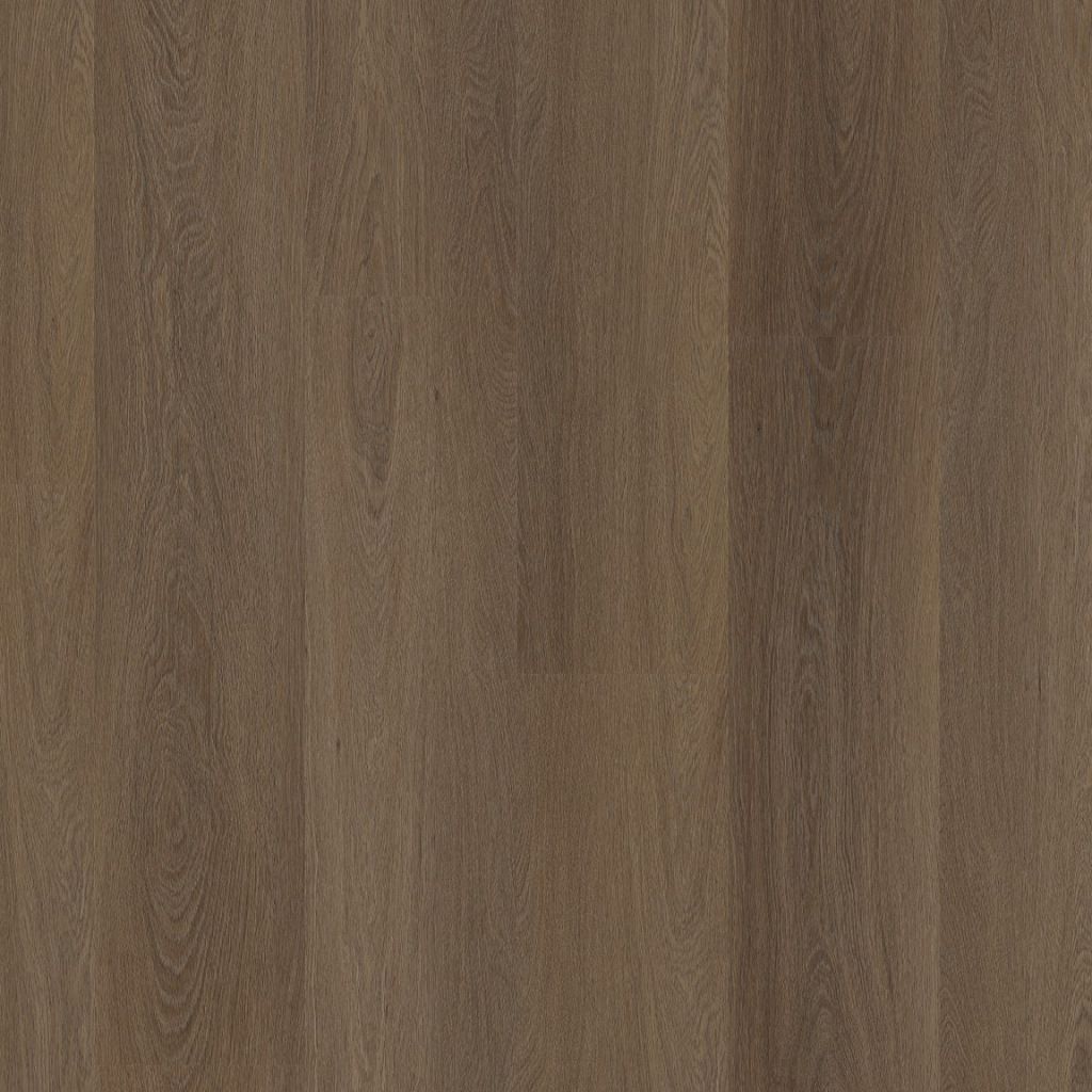 1Estino dryback brown