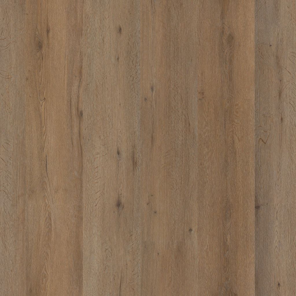 1Vivero dryback smoky