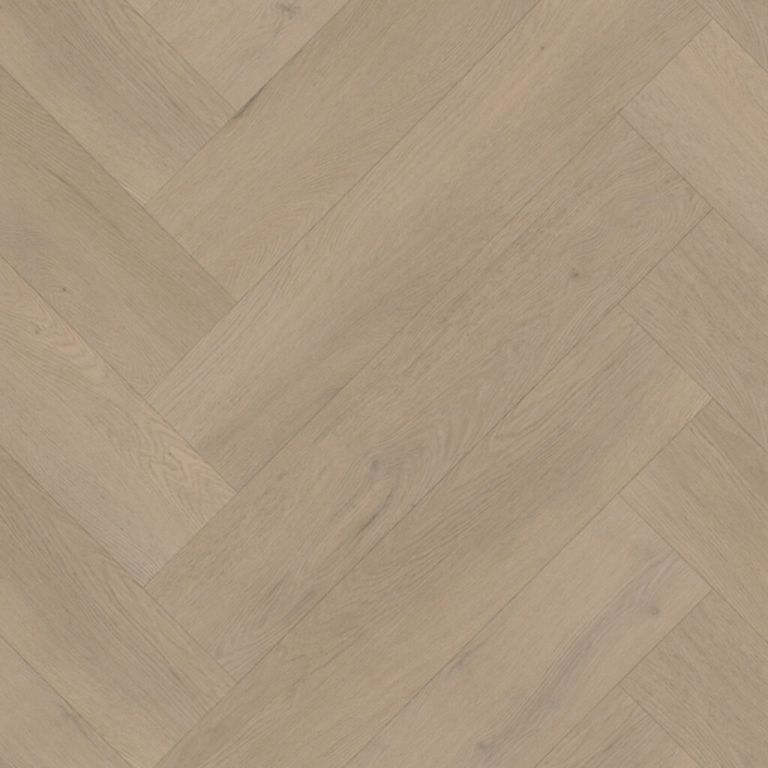 belakos Attico visgraat XL 83