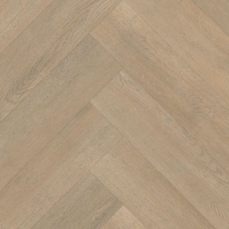 belakos Palazzo visgraat XL 71