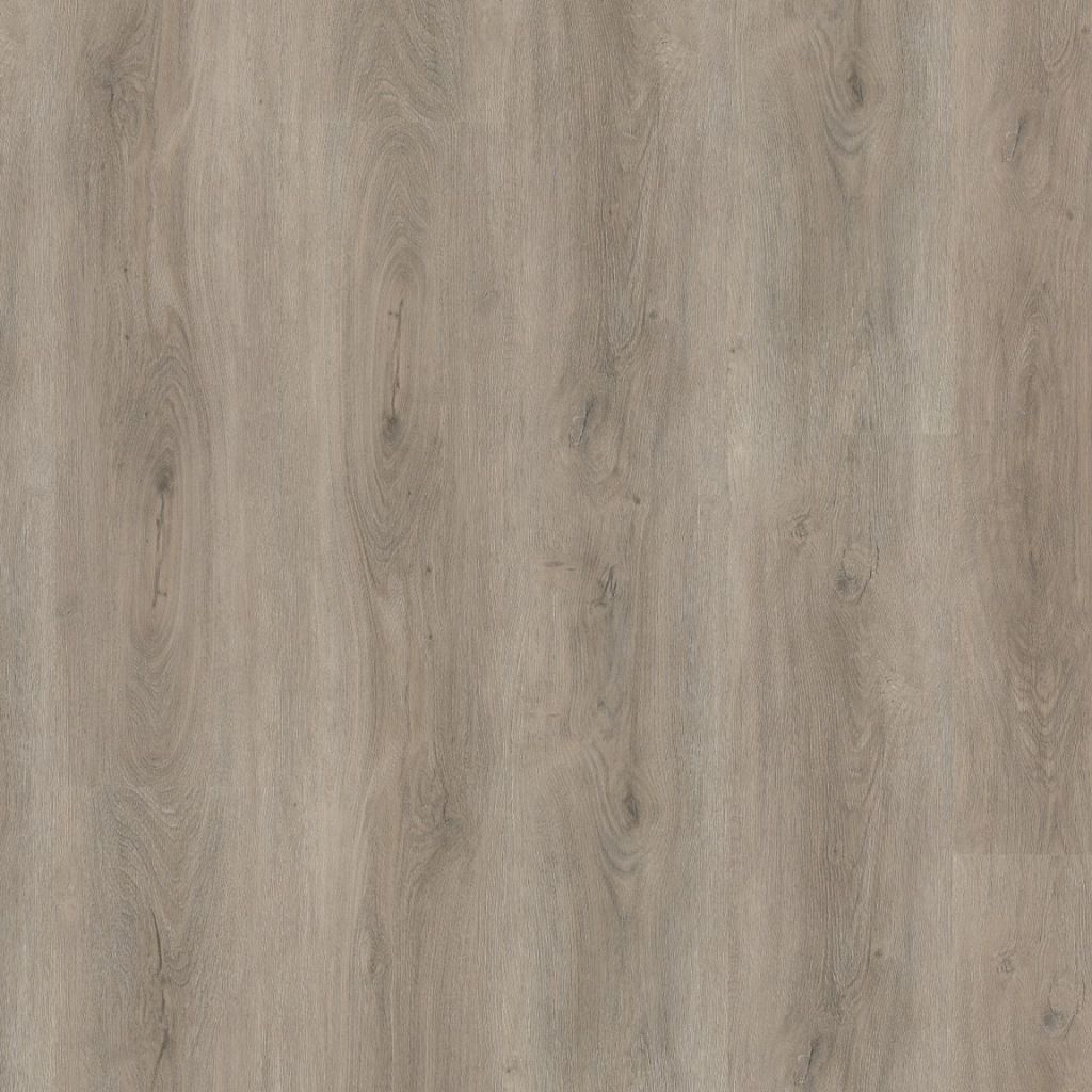 1Robusto click SRC light grey