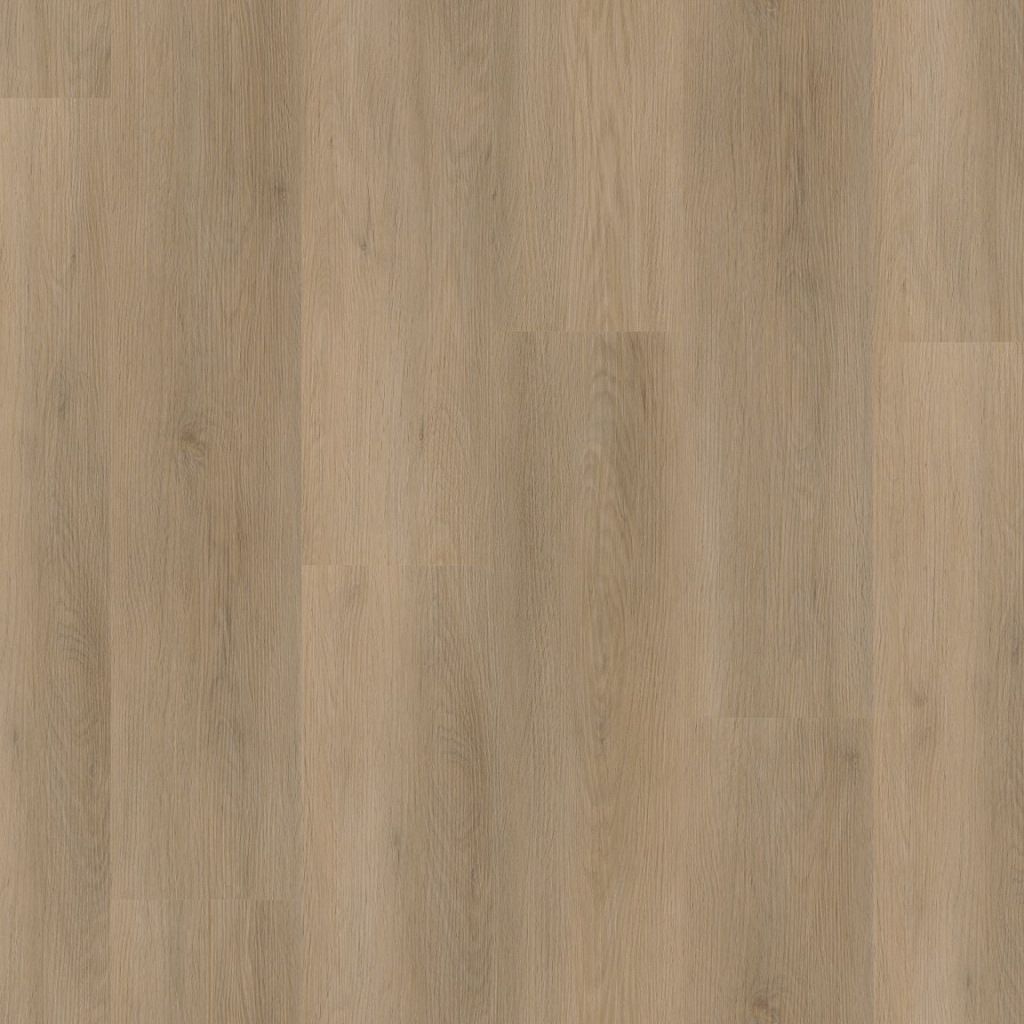 1Sentima click natural oak