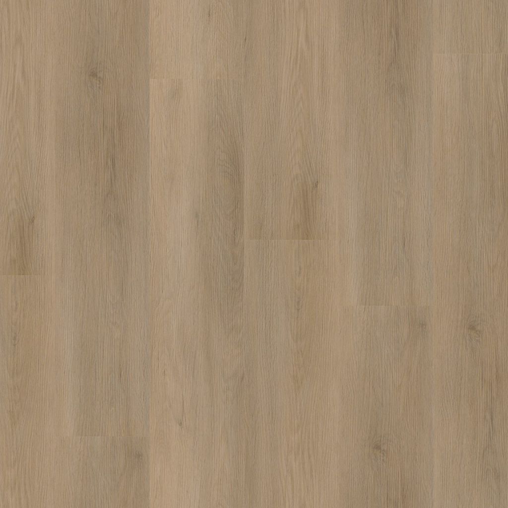 1Sentima dryback natural oak