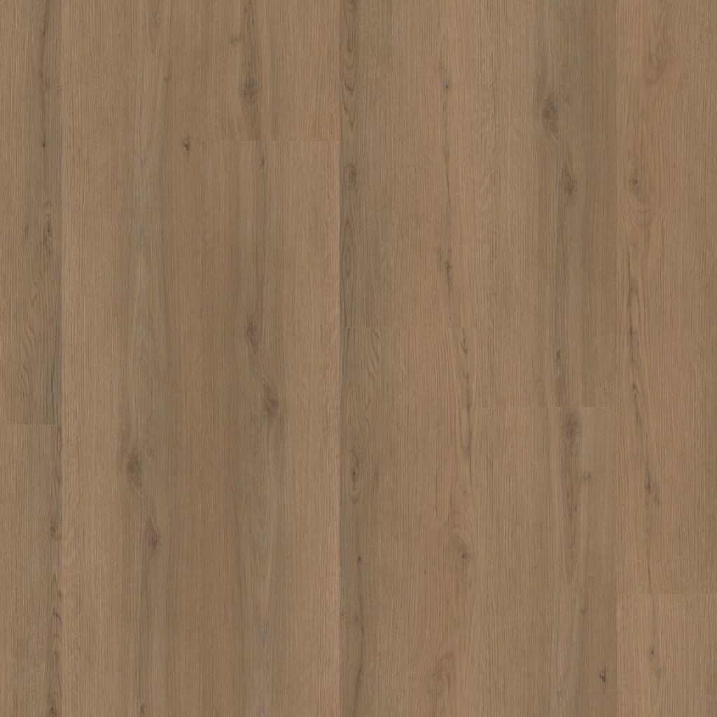 1Venera click dark oak