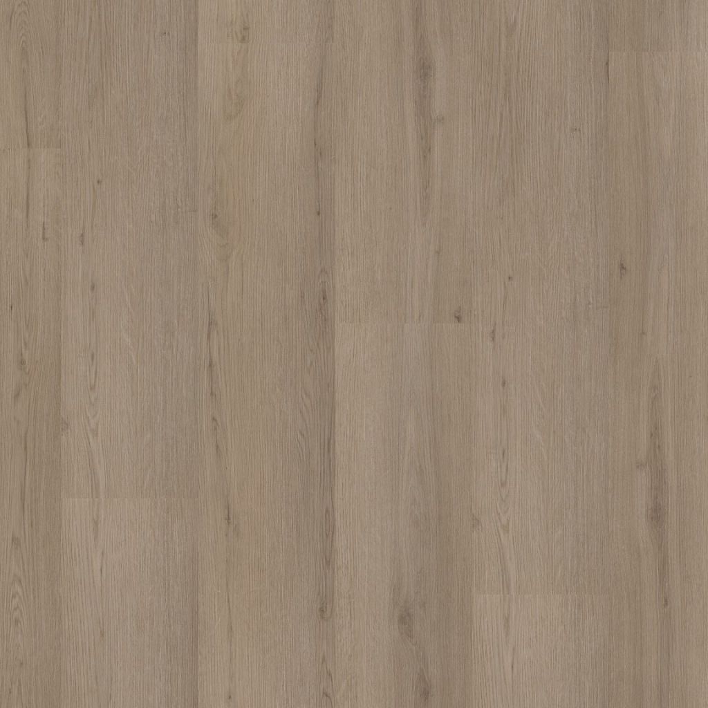 1Venera dryback smoky