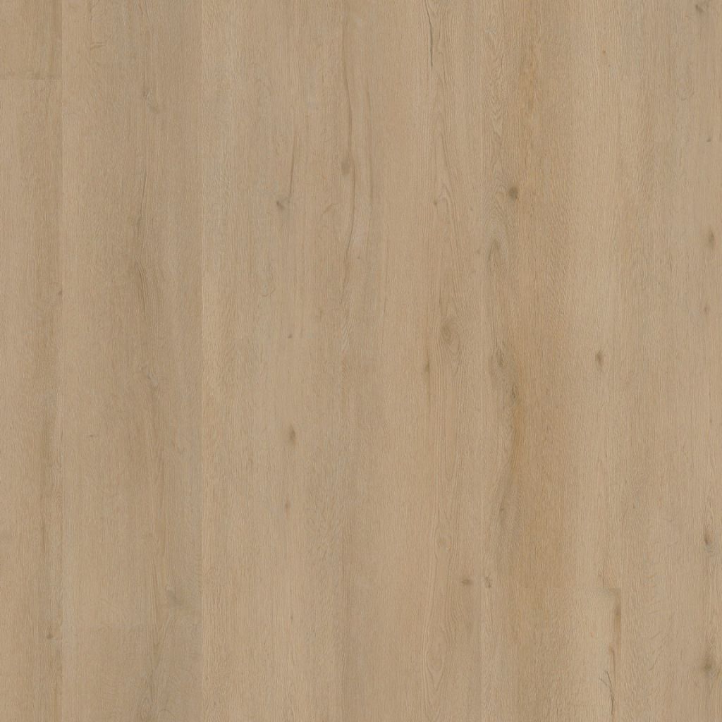 1Vivero dryback beige